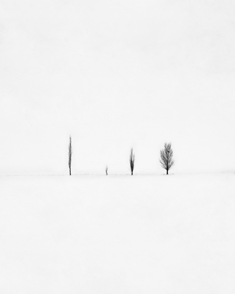 Photograph Mohammad Alipour Friends on One Eyeland